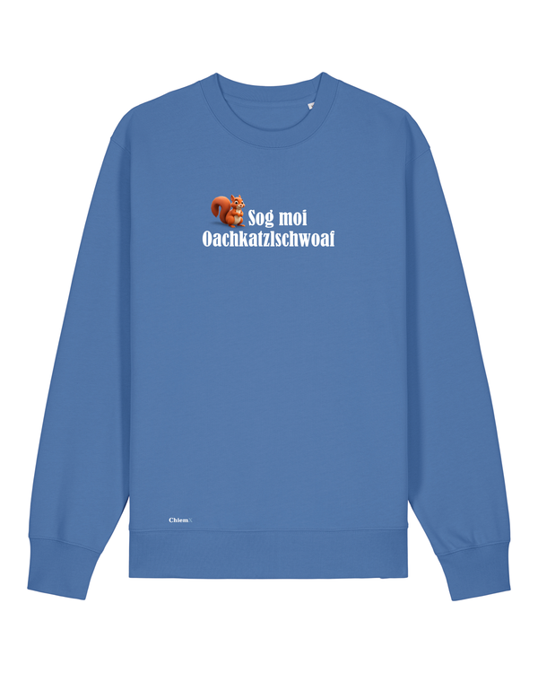 Bio-Baumwolle Kinder Sweater mit "Sog moi Oachkatzlschwoaf" - Special Edition