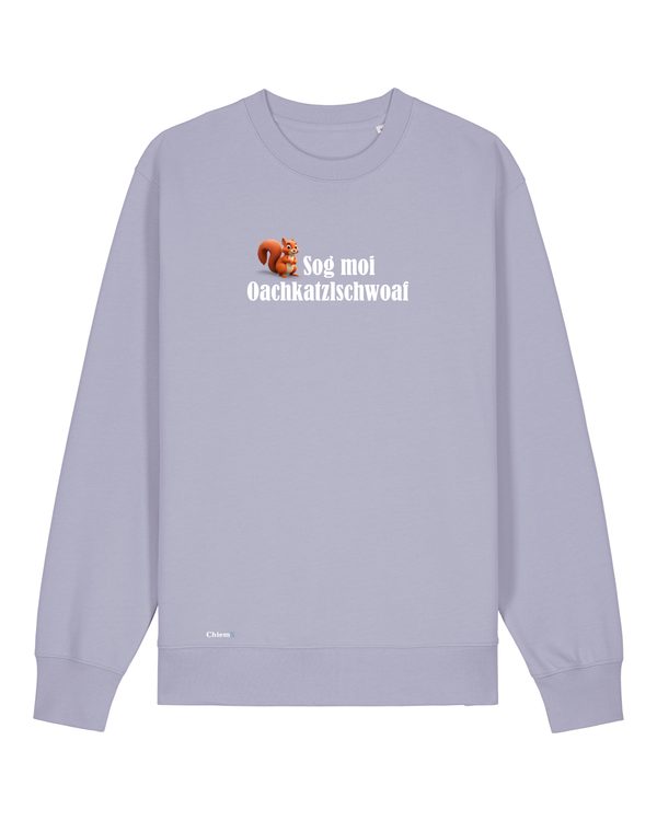 Bio-Baumwolle Kinder Sweater mit "Sog moi Oachkatzlschwoaf" - Special Edition